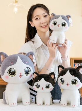 可爱大眼猫咪玩偶毛绒公仔小号朵朵猫布娃娃家居摆件床上陪睡抱