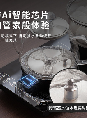 全自动上水电热烧水壶泡
