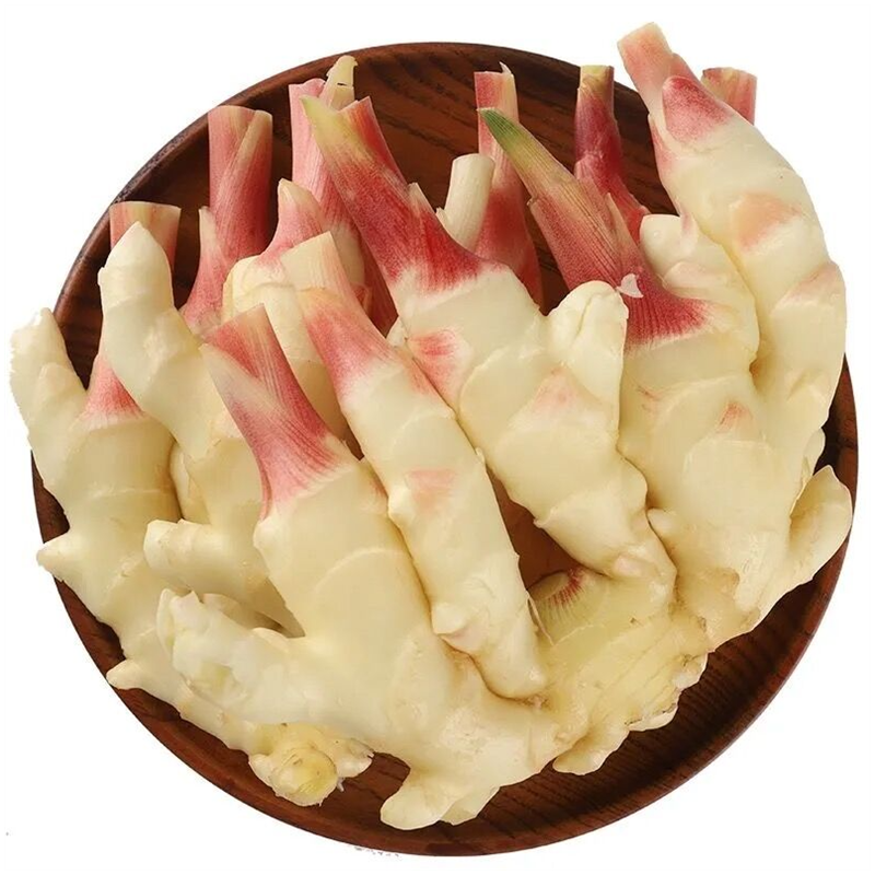 山东嫩姜仔姜新鲜现挖红芽姜子姜姜芽嫩姜新鲜泡菜腌制醋泡鲜生姜,淘宝优惠券,粉丝福利购,淘宝优惠卷
