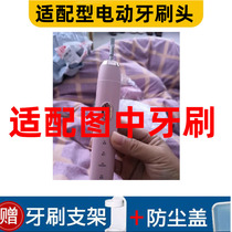 Pleasant card adaptation XTEP Step Electric Toothbrush Head Replacement Head EB900-1 CH902 Replacement