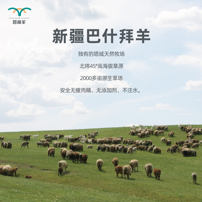 四角羊羊尾油1斤正宗新疆绵羊新鲜羊尾油羊肉串烧烤涮锅商用批发_虎窝淘