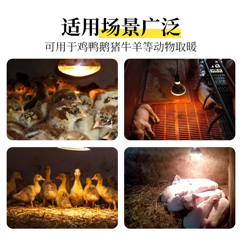 保温灯养殖专用取暖灯猪场育雏照明加热灯防水防爆节能长寿命灯泡 - 图2