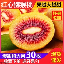 Sichuan Extra Large Fruit Red Heart Chic Exotic Fruit Authentic the Monkey Peach Fresh Should Season season Tic Exotic Fruit Whole Box