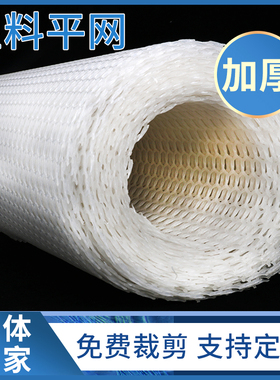 加厚小孔塑料网养殖网阳台防掉防护网防猫封窗网养鸡养鸭垫网围栏