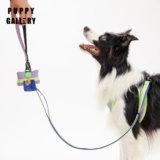 Галерея щенков Южной Кореи A+Pet выходит на портативную карманную сумку для ходьбы, чтобы ухудшить пикап собаки