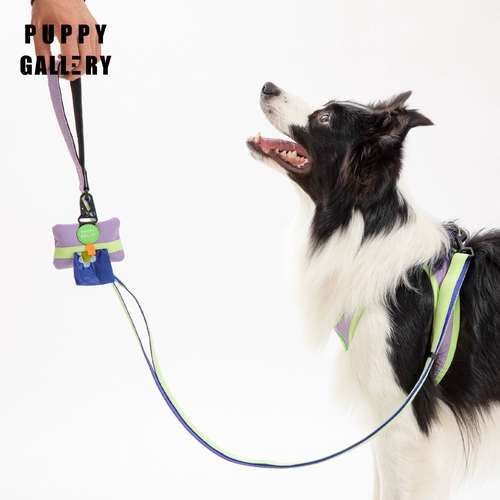 Галерея щенков Южной Кореи A+Pet выходит на портативную карманную сумку для ходьбы, чтобы ухудшить пикап собаки