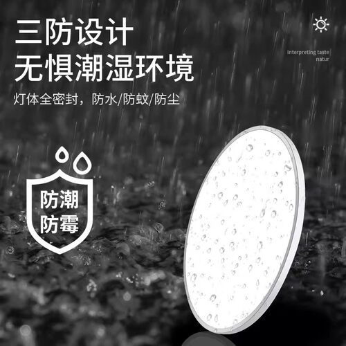 国际电工雷达自动人体感应小尺寸吸顶灯走廊过道楼梯入户声光控灯 - 图2