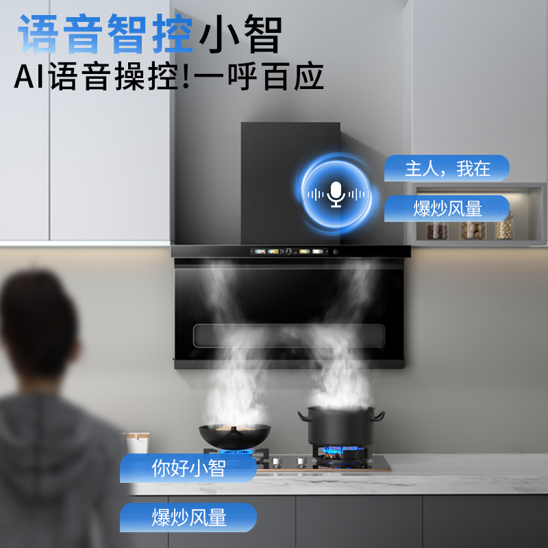  新飞拓远行油烟机