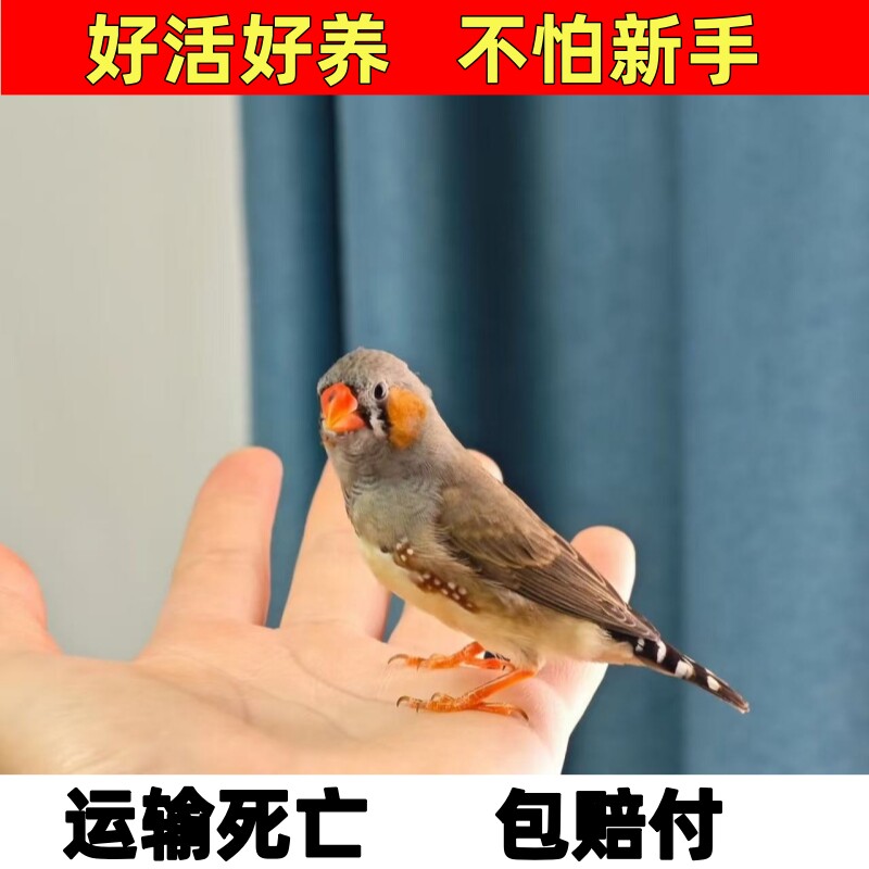 图3