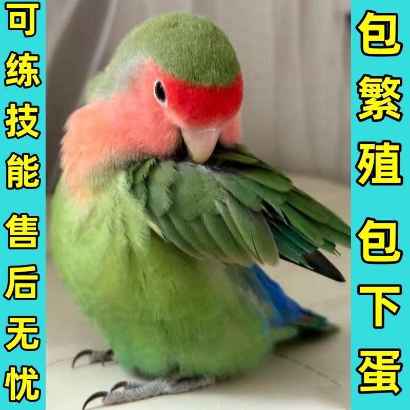图5