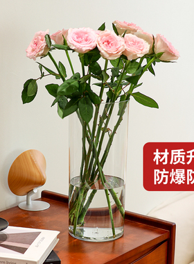 朴藤现代简约透明防摔花瓶