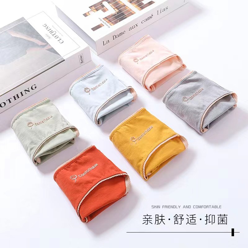 女纯棉三角裤头少女士无痕抗菌短裤 燕彩柔内裤