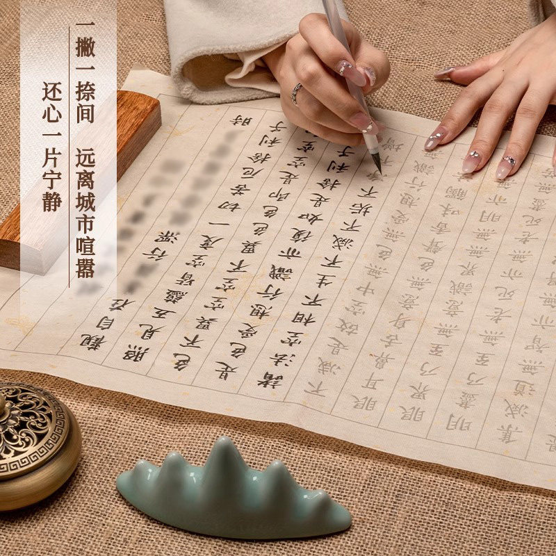 小楷临摹字帖抄经临摹本静心手抄行书练字帖成人软笔静心毛笔金刚道德经临摹字帖经药师临摹地藏经书抄写套装