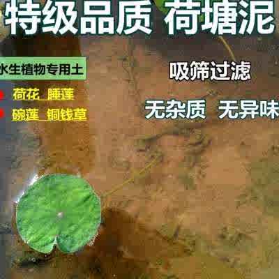睡蓮肥料 新人首單立減十元 22年1月 淘寶海外