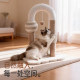 Cat climbing frame, cat nest, integrated home small apartment, vertical cat scratching post, pet cat shelf, scratching board toy