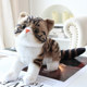 Simulated cat doll fluffy toys