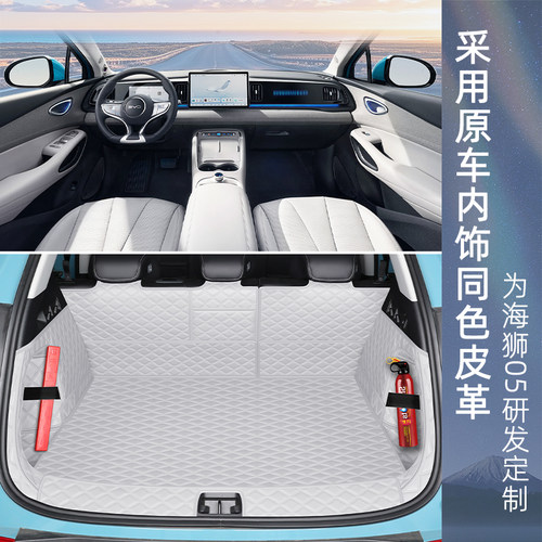 比亚迪海狮05ev后备箱垫全包围海狮05dmi尾箱垫车内装饰用品配件 - 图0