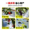 Silver and black two-color mulch film with holes for agricultural planting film