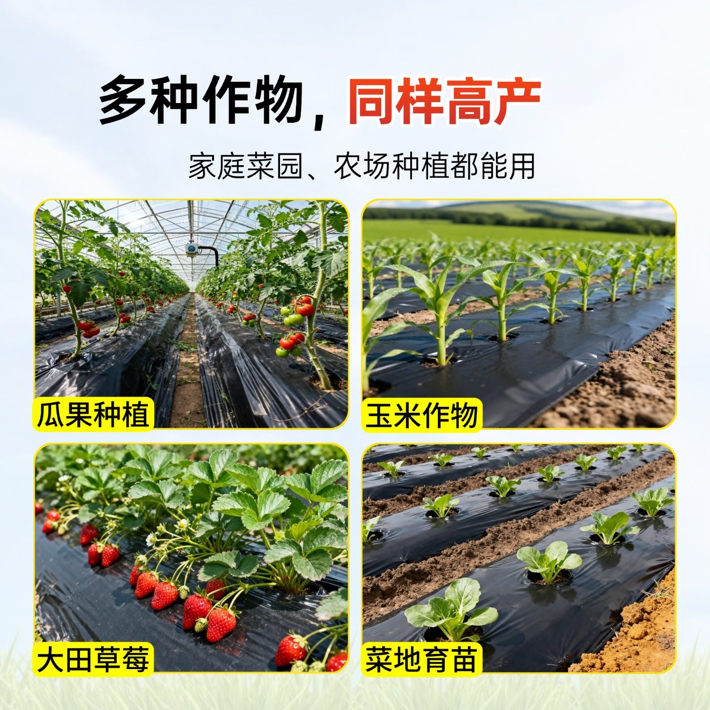 净重黑地膜农用种植种菜专用塑料薄膜防草保温草药材盖草加厚,淘宝优惠券,粉丝福利购,淘宝优惠卷