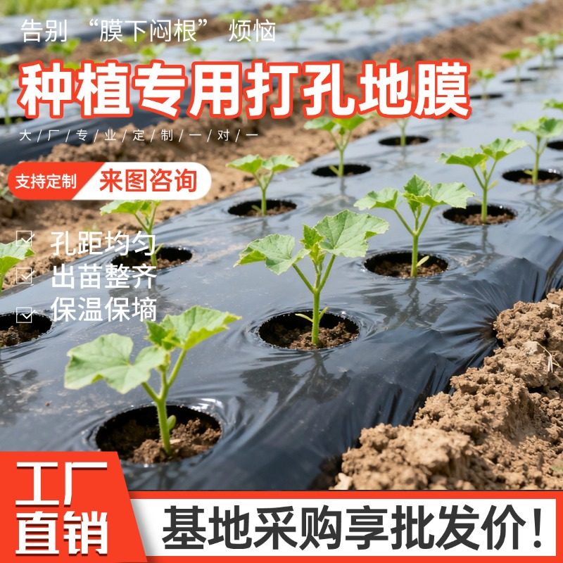 打孔地膜农用种植种菜专用塑料薄膜防草有孔黑地膜辣椒大蒜玉米,淘宝优惠券,粉丝福利购,淘宝优惠卷