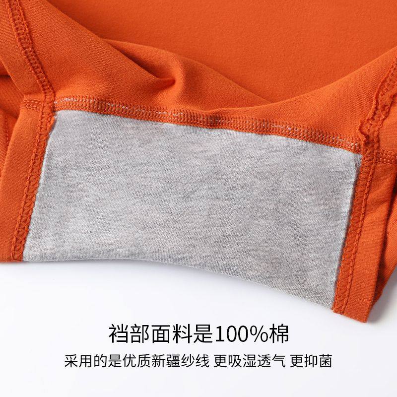 【一裤三穿】女士平角内裤女纯棉防走光高腰收腹不卷边打底安全裤,淘宝优惠券,粉丝福利购,淘宝优惠卷