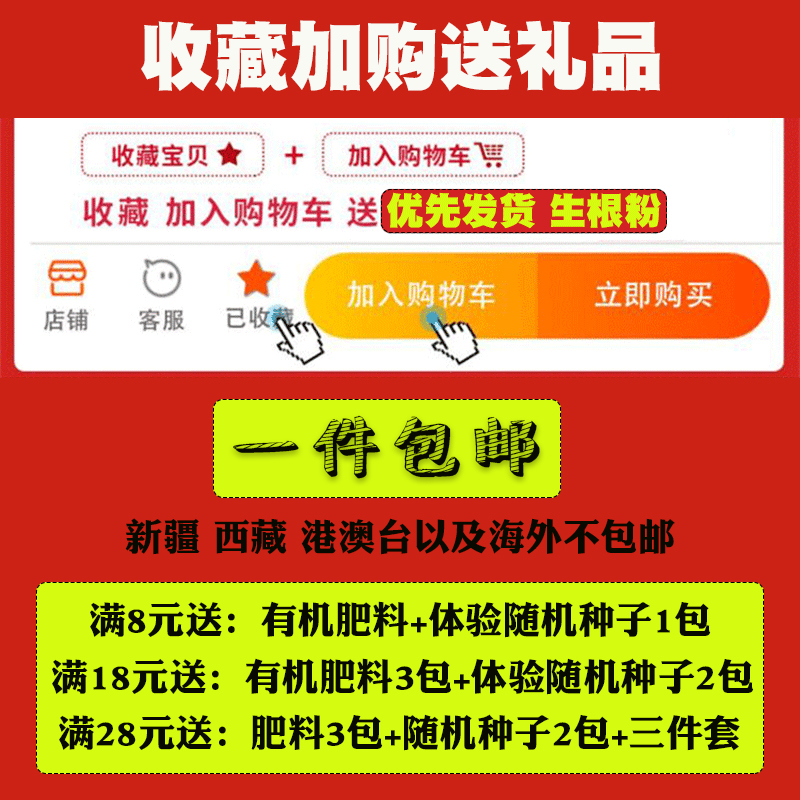 奶油草莓种子淡雪白草莓籽四季可种甜心草莓种阳台盆栽蔬菜瓜果种-图2