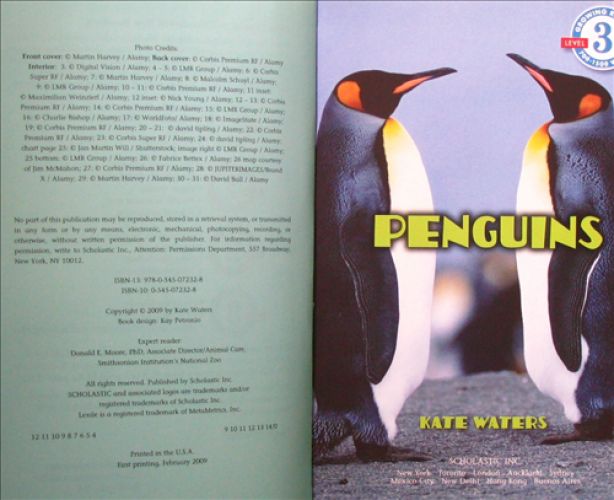 Penguins Growing Reader Level 3 by Kate Waters平装Scholastic企鹅 (不断增加读者 3 级) - 图1