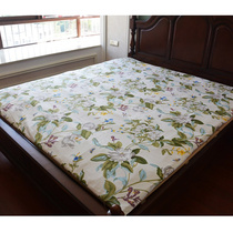 New product Yang Master Yang Master Mountain brown mattress n brown cushion can be booked with natural palm mattress handmade no glue brown mattress 1 8