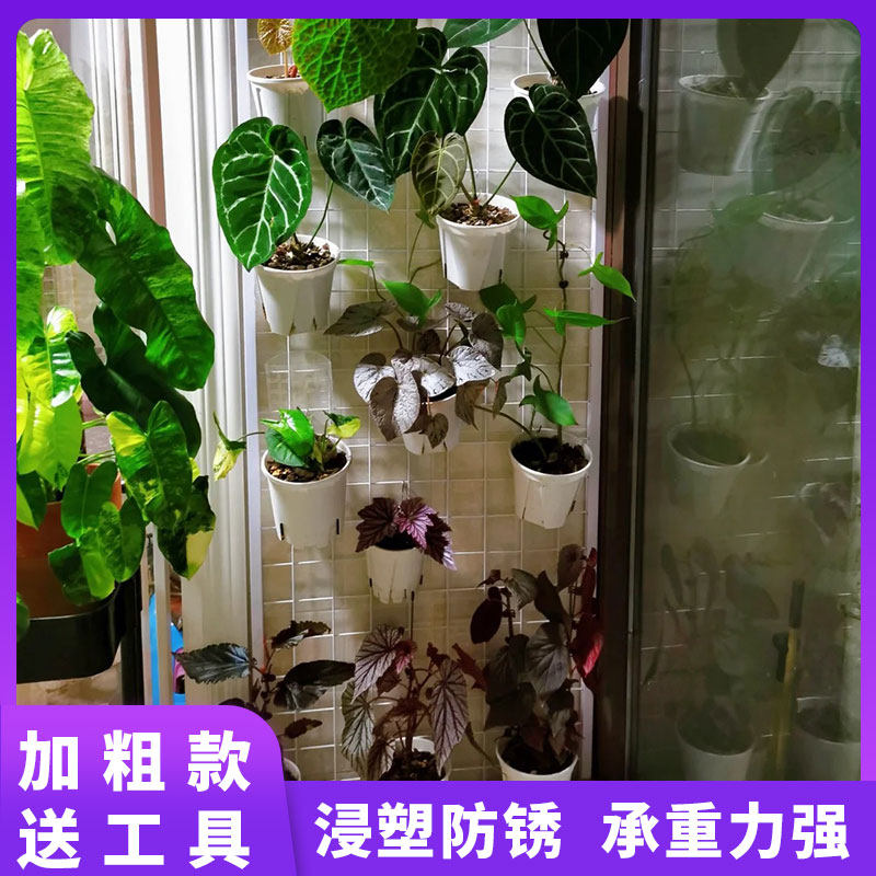 铁艺网格多肉植物花架多层盆栽置物架阳台壁挂蝴蝶兰花盆专用花架,淘宝优惠券,粉丝福利购,淘宝优惠卷