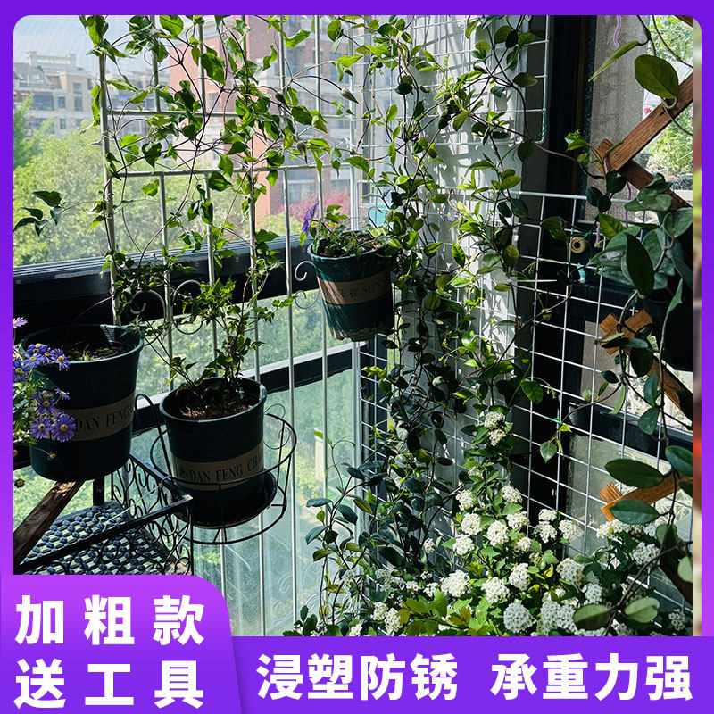 铁艺网格多肉植物花架多层盆栽置物架阳台壁挂蝴蝶兰花盆专用花架,淘宝优惠券,粉丝福利购,淘宝优惠卷