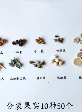 房间装饰品少女卧室天然