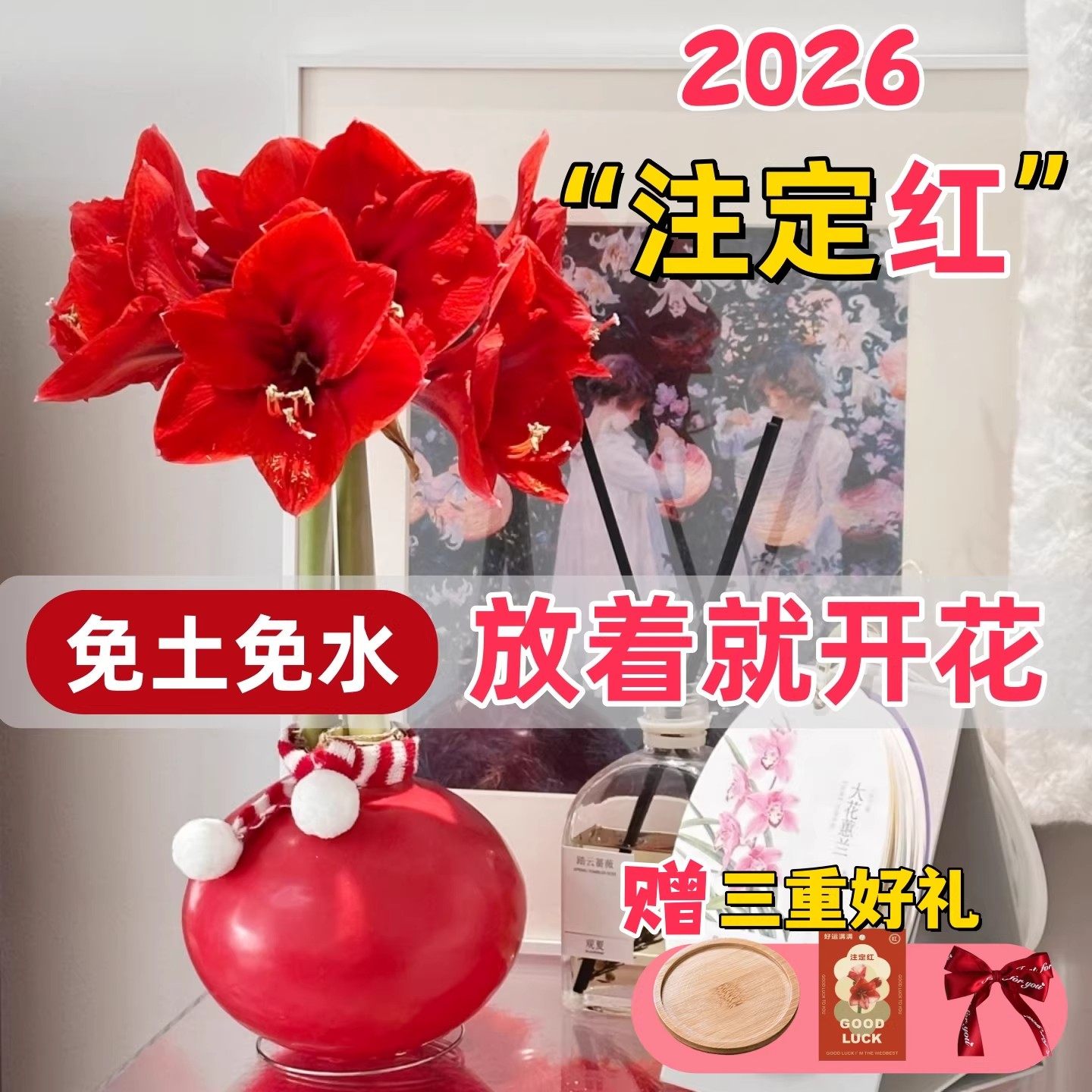 朱顶红蜡封种球室内桌面花卉观赏植物懒人好养易活节日祝福注定红,淘宝优惠券,粉丝福利购,淘宝优惠卷