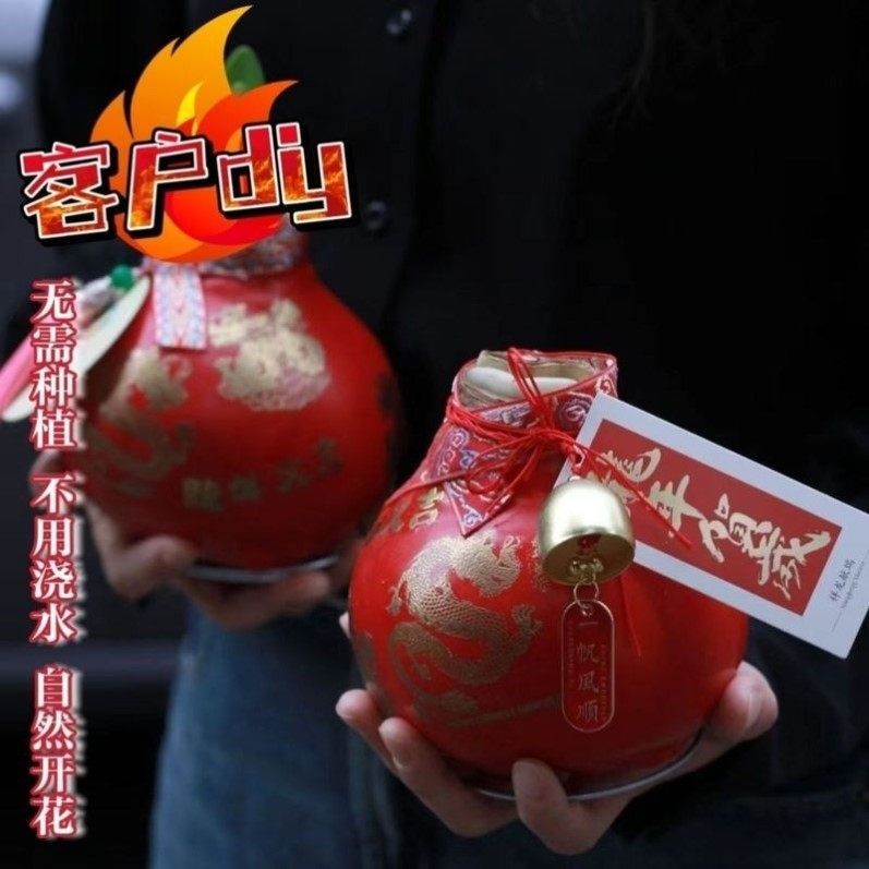 朱顶红蜡球好运封冬礼品开花蜡球客厅办公创意植物年宵花卉,淘宝优惠券,粉丝福利购,淘宝优惠卷