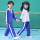 Chuangtong Shenzhen School Uniforms Primary School Students Spring and Autumn Sports Suit