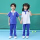 Chuangtong Shenzhen School Uniforms Primary School Students Spring and Autumn Sports Suit