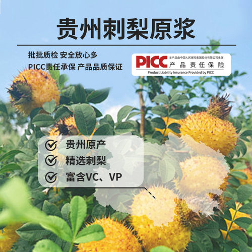 杞梦康1500ml刺梨原浆礼盒装/贵州龙里特产NFC富含VC鲜果鲜采鲜榨 - 图1