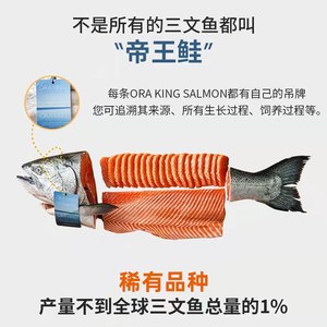 深悦胜 新西兰进口帝王鲑鱼 8-9斤冰鲜三文鱼一整条新鲜即食刺身