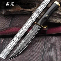 Damascus Steel Knife Home Water Fruit Knife Cut Cow Mutton Knife Eat Meat Knife Outdoor Portable Western Buffalo Pickpocket Knives