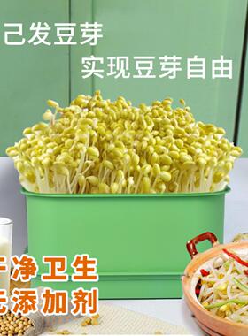 绿豆芽家用全自动种植桶大容量30