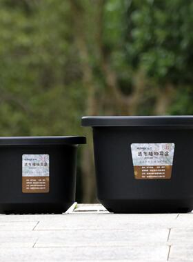 欧式黑加仑大口径加厚塑料花盆