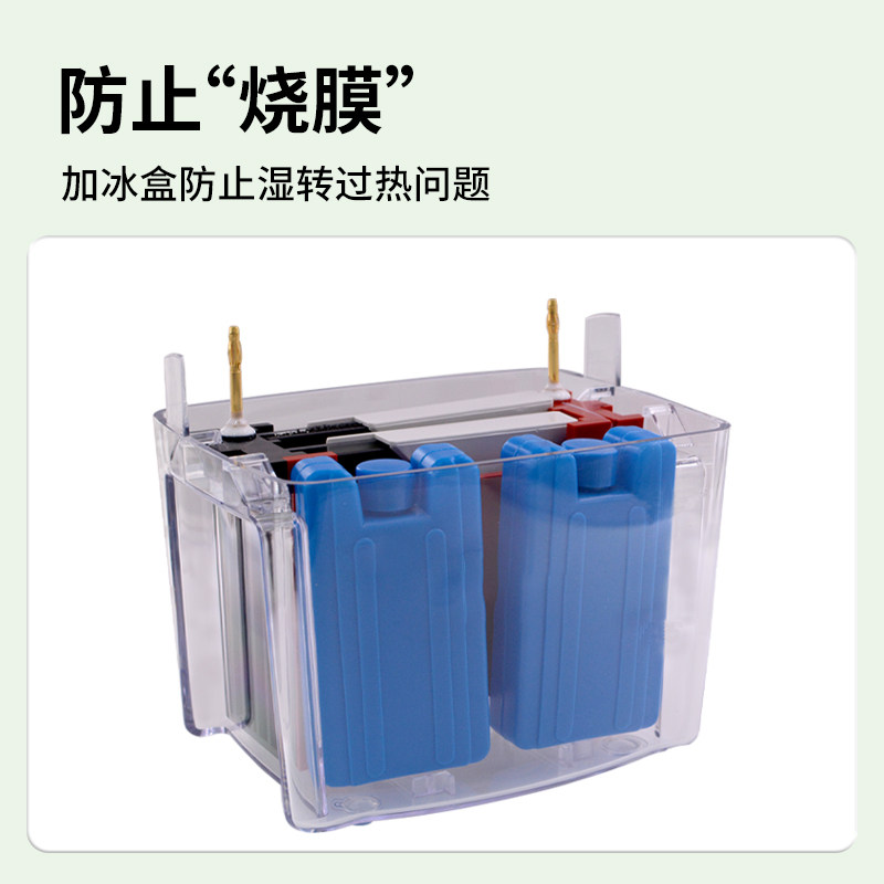锡萌 Western blot 转印冰盒WB电转小冰盒 电转转膜湿转冰袋 通用bio-rad伯乐/天能电泳配件耗材 实验室冰盒,淘宝优惠券,粉丝福利购,淘宝优惠卷