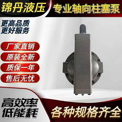 HY10 25 40 63 80 100 90 107 125 160 250Y(MY)-RP/LP轴向柱塞泵 - 图0