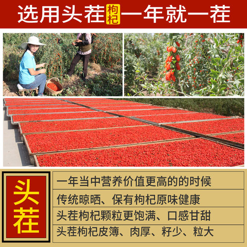 枸杞子宁夏特级500g大颗粒构杞茶无硫熏正宗红苟纪泡水官方旗舰店 - 图0