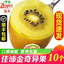 New Zealand Kiwifruit Golden Fruits 10 Fresh Pregnant Women Fruits Imported Yellow Heart Kiwifruit Big Fruits
