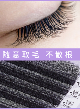 三叶草不散根yy睫毛d翘