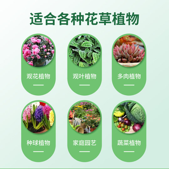 椰砖营养土养花种菜通用型椰糠植物花土脱盐杀菌保肥多肉种植土