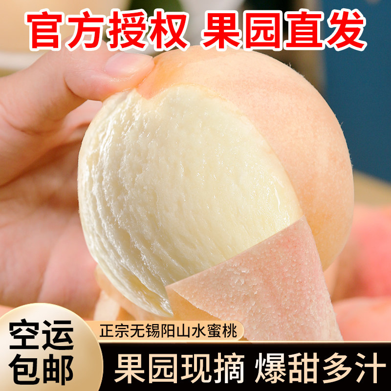  阳山杨氏桃
