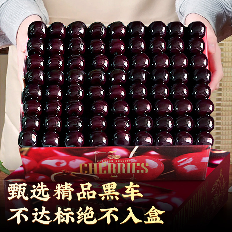 智利进口车厘子礼盒包邮桑提娜大5斤3j4j5j新鲜樱桃拉宾水果旗舰,淘宝优惠券,粉丝福利购,淘宝优惠卷