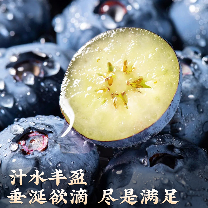 云南高山蓝莓鲜果特大果5斤新鲜水果应当季整箱一颗蓝梅超礼盒装