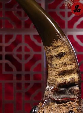 天然爆款文玩 披毛犀精雕角尖 完整 珍贵工艺品 把件摆件收藏雕刻